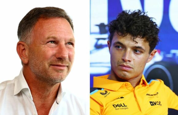 Horner opens door for Lando Norris to be Max Verstappen’s new Red Bull team-mate