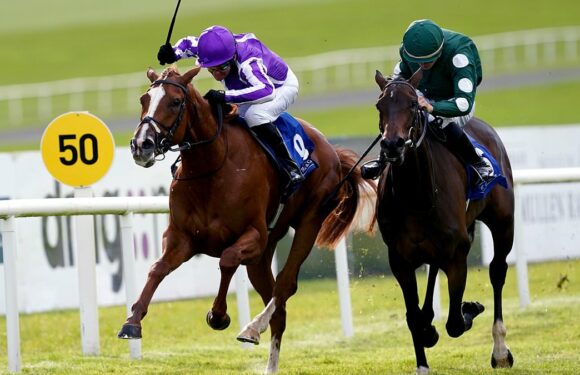 Robin Goodfellow's racing tips: Best bets for Tuesday, August 29