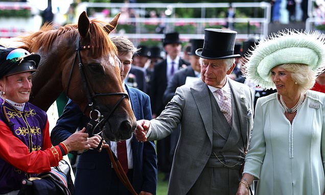 A horse fit for a King: Desert Hero targets Classic glory at Doncaster
