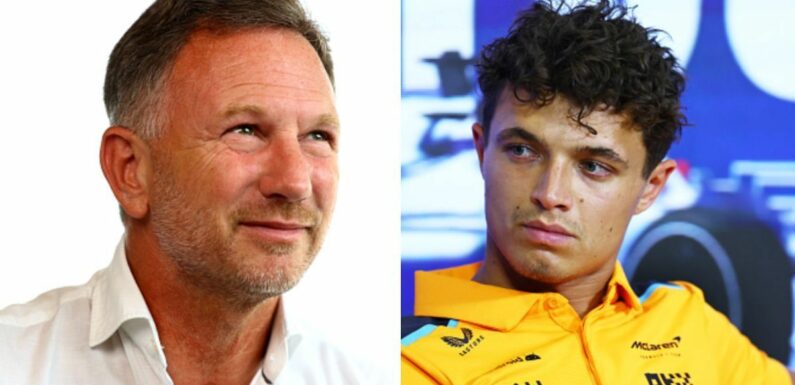 Horner opens door for Lando Norris to be Max Verstappen’s new Red Bull team-mate