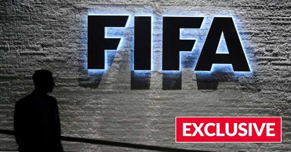 ‘I was an agent doing abysmal FIFA exam – the farce has put livelihoods at risk’