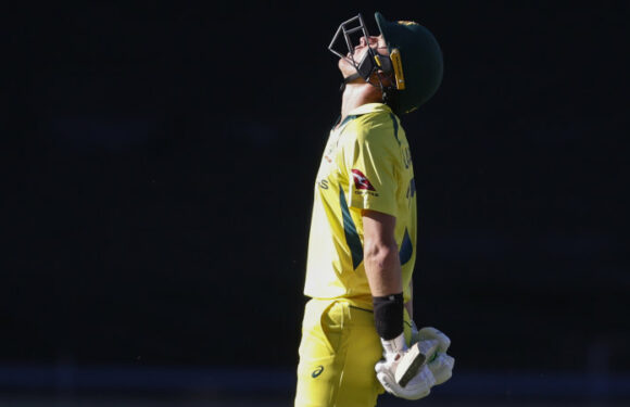 Labuschagne faces Cup elimination, Head to be carried through early matches