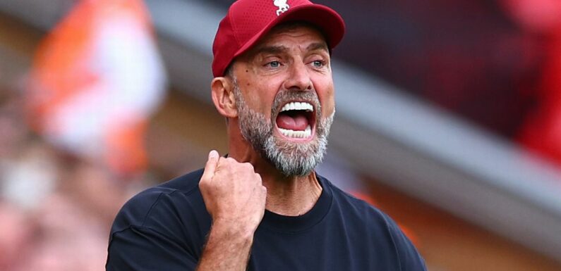 Liverpool have Klopp’s perfect replacement lined up due to ‘secret agreement’