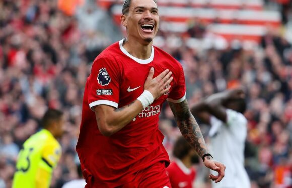 Liverpool's Darwin Nunez backed to become 'a darling at Anfield'