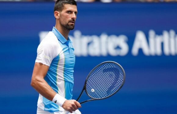 Novak Djokovic faces being ‘offended’ again at US Open against Ben Shelton