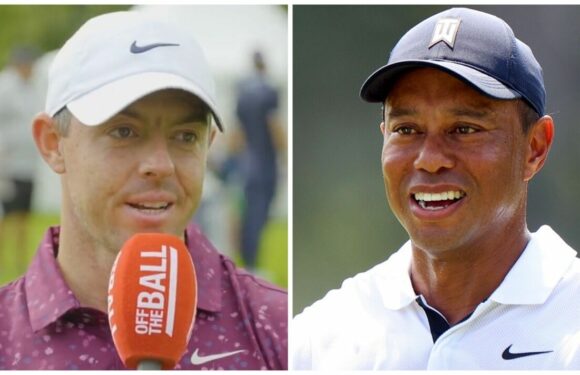 Rory McIlroy calls Tiger Woods a ‘nerd’ as Ryder Cup star details relationship