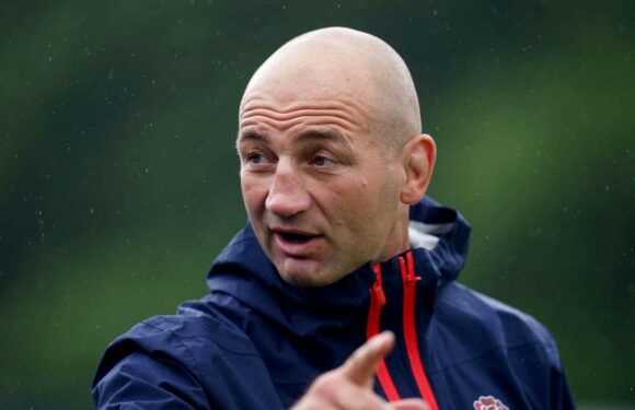 Steve Borthwick says England written off ‘too early’ ahead of World Cup
