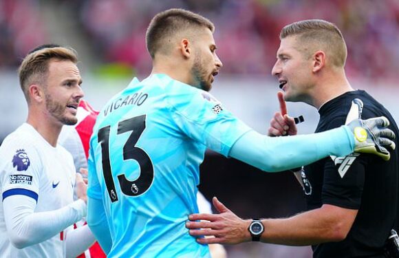 TV giants line-up for fly-on-the-wall documentary on referees