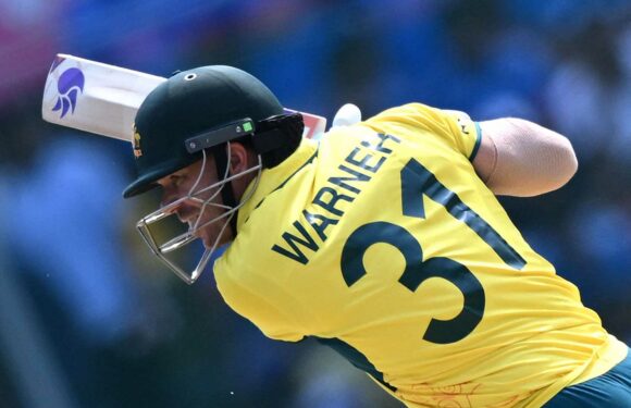 David Warner makes Cricket World Cup history with milestone in India-Australia match