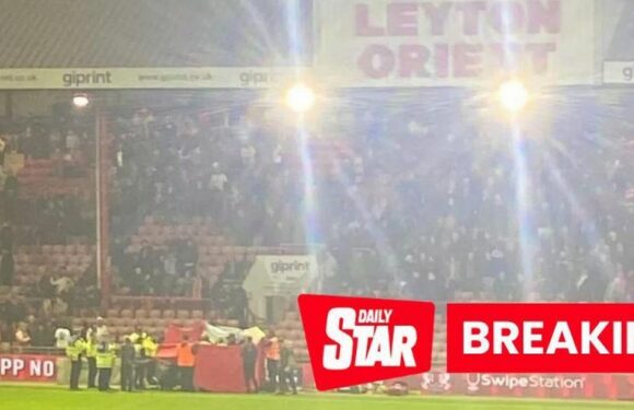 Fan dies after medical emergency sees fans rush on pitch and game abandoned