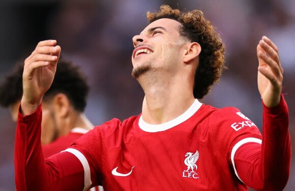 Liverpool's bid to overturn Jones' red card at Spurs  is unsuccessful