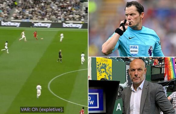 OLIVER HOLT: No smoking gun, just a modern-day cock-up