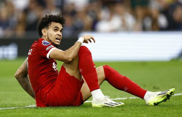 Paddy Power to payout on Luis Diaz bets after VAR blunder