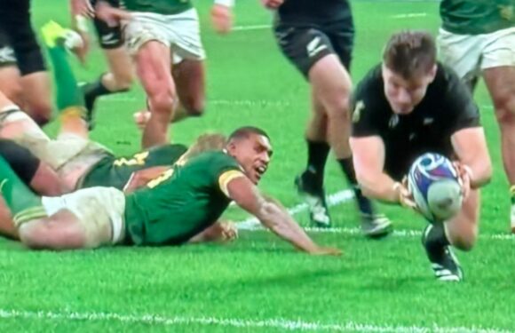 Rugby World Cup viewers split on controversial New Zealand try in final
