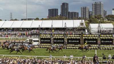 All the right choices at the Melbourne Cup