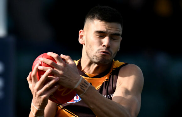 Dumped Hawks defender finds new home as Demons welcome father-son