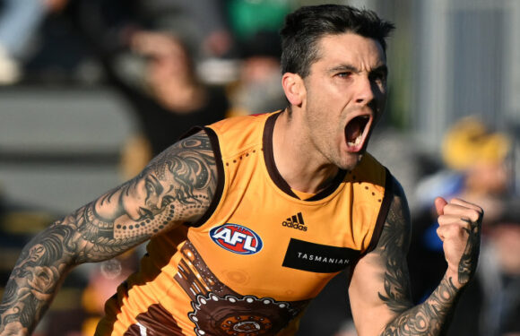 Hawthorn gamble and cut Chad Wingard