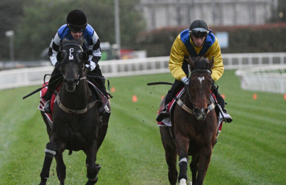 Keeping it in the family: The horse with a shot at Melbourne Cup history