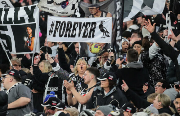 Magpie millions: Collingwood scores $6m premiership-year profit