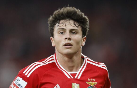 Man Utd could be using Joao Neves as a smokescreen for a different signing