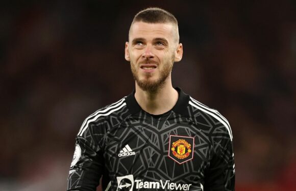 Man Utd fans beg ‘re-sign David de Gea’ after Andre Onana’s unforgivable howler