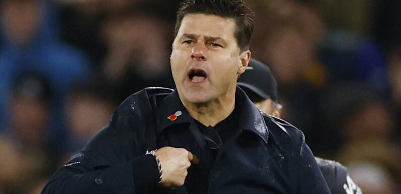 Mauricio Pochettino behaved like a yob, says Ian Ladyman