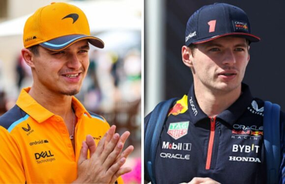 Norris loses temper with reporter after Verstappen was called his best friend