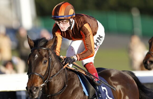 Robin Goodfellow's racing tips: Best bets for Monday, November 20