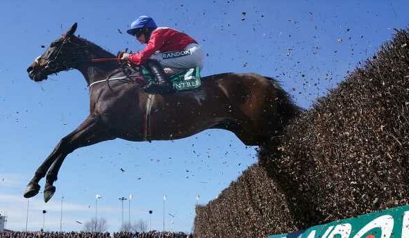 Robin Goodfellow's racing tips: Best bets for Saturday, November 11