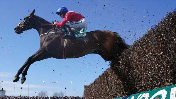 Robin Goodfellow's racing tips: Best bets for Saturday, November 11