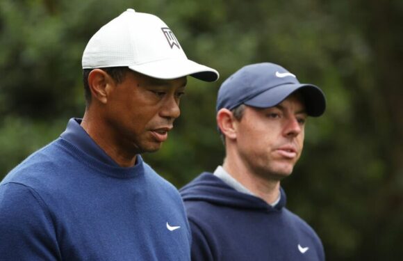 Tiger Woods and Rory McIlroy suffer nightmare after TGL Venue roof collapse