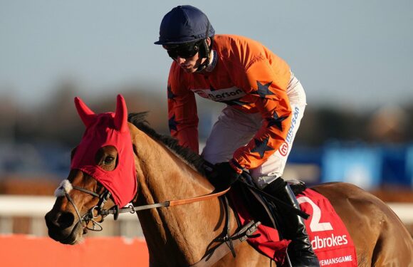 Trainer Paul Nicholls shares some insight on his five Saturday entries