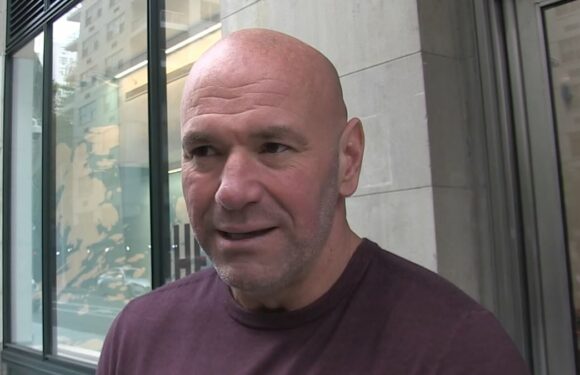 UFC chief Dana White reveals Conor McGregor will return NEXT SUMMER