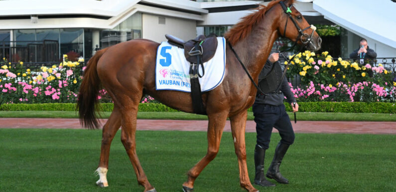 ‘As good a thing I’ve seen’: Williams declares Cup favourite the one to beat