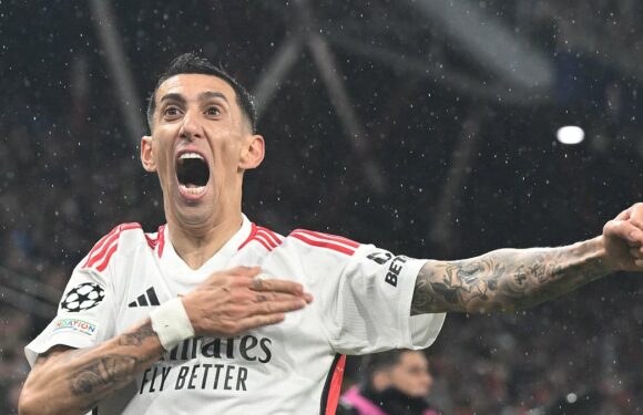 Angel Di Maria nets directly from a CORNER to keep Benfica in Europe