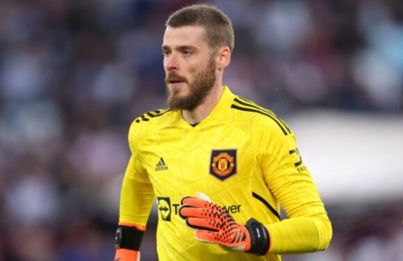 De Gea’s stance on joining Newcastle as Magpies in dire need of ex-Man Utd star