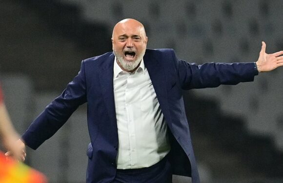 Ex-Ankaragucu manager claims president also attacked him