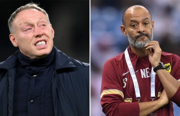 Forest sack Steve Cooper after one win in 13 and turn to Nuno Espirito Santo