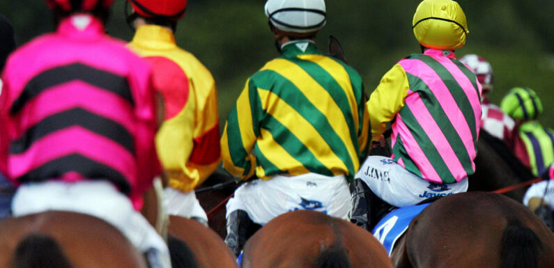 Johnny Dash hopes to be in the cash at Narromine meeting