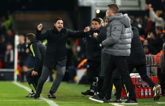 Mikel Arteta will continue to show emotion on touchline despite ban