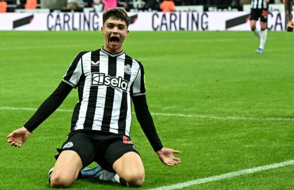 Newcastle 3-0 Fulham: Magpies stun Cottagers as they cruise to victory