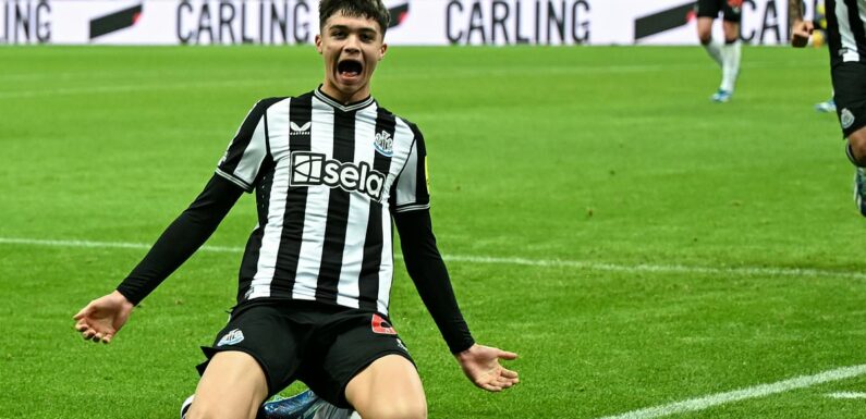 Newcastle 3-0 Fulham: Magpies stun Cottagers as they cruise to victory