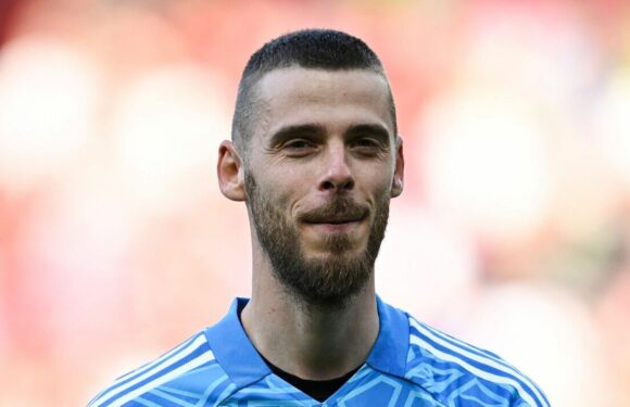 Newcastle ‘weigh up’ emergency David de Gea transfer as Nick Pope news worsens