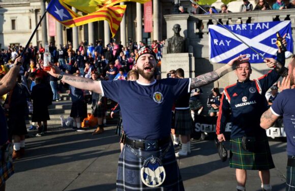 Scotland fans face frustrating wait for Euro 2024 sales after ticketing blunder delayed sale