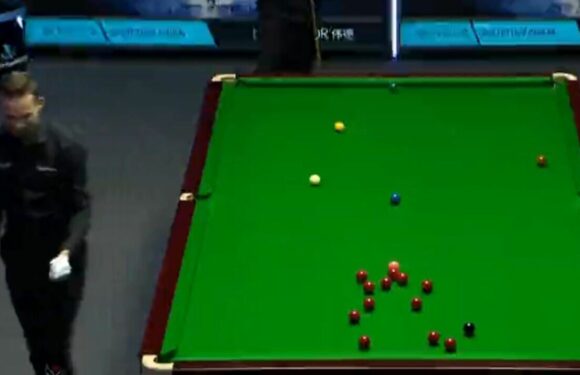 Snooker final interrupted as referee incredibly catches fly buzzing around table