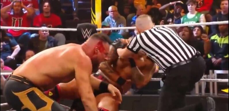 WWE fans left STUNNED as ring breaks mid-fight